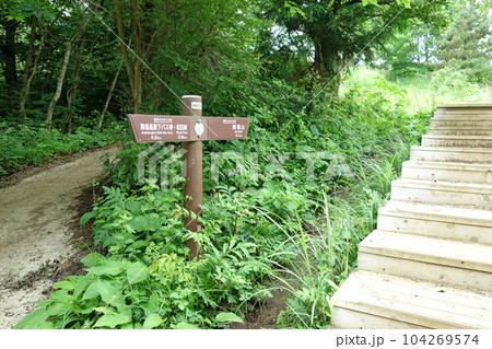 陣馬高原山頂まであと100m（神奈川県相模原市） 104269574