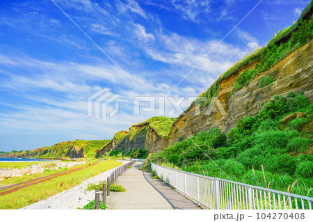 （千葉県銚子市）屛風ヶ浦・早朝 104270408