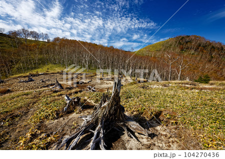 秋色の奥日光・社山・黒檜山間の稜線 104270436