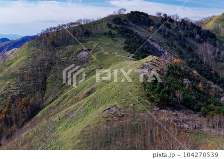 秋色の奥日光・社山・黒檜山間の稜線 104270539