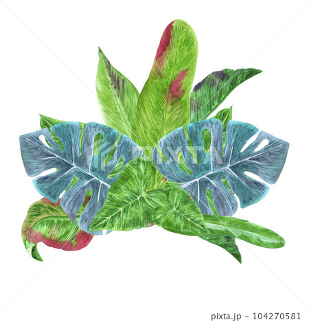 Hand drawn watercolor green tropical leaves composition isolated on white background. Can be used for post card, label, banner design. Hand drawn watercolor green tropical leaves composition isolated on white background. Can be used for post card, label, banner design. 104270581