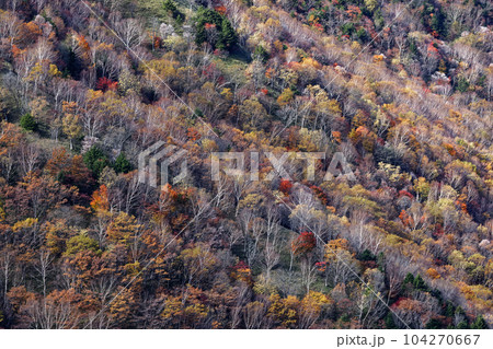 奥日光・社山・黒檜山間の稜線から見る紅葉の山肌 104270667