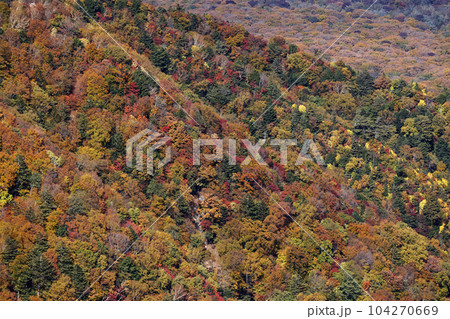 奥日光・社山・黒檜山間の稜線から見る紅葉の山肌 奥日光・社山・黒檜山間の稜線から見る紅葉の山肌 104270669