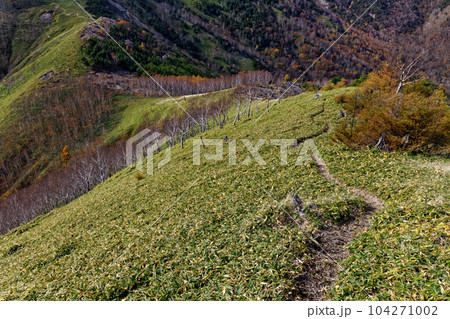 秋色の奥日光・社山・黒檜山間の稜線 104271002