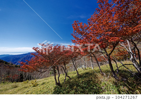 紅葉の奥日光・社山・黒檜山間の稜線 104271267