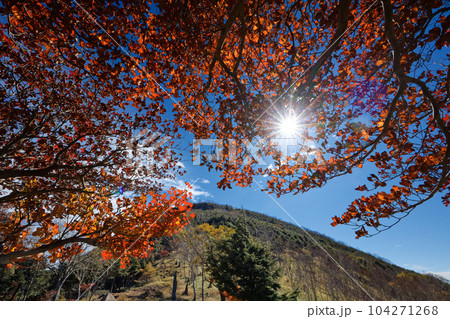 紅葉の奥日光・社山・黒檜山間の稜線 104271268