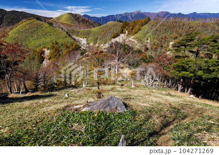 秋色の奥日光・社山・黒檜山間の稜線と日光白根山 104271269