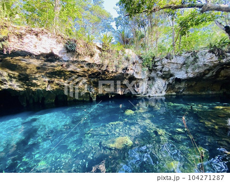 メキシコのグランセノーテ 104271287