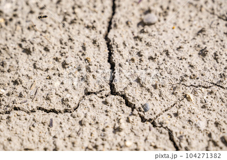 ひび割れた地面 ひび割れた地面 104271382