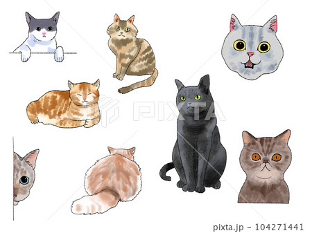 猫の手描き風イラストセット 104271441