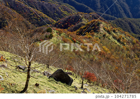 奥日光・社山から見る紅葉の山並み 104271785