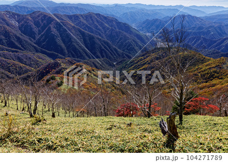 奥日光・社山から見る紅葉の山並み 104271789