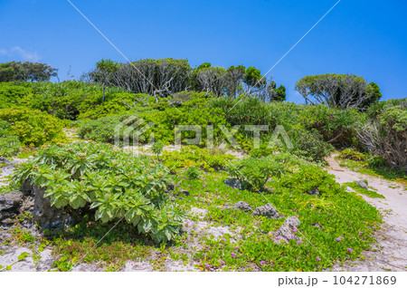 沖縄 久高島 神の島、イシキ浜 沖縄 久高島 神の島、イシキ浜 104271869