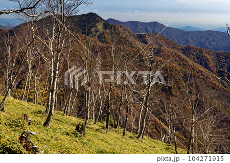 奥日光・社山稜線から見る紅葉の半月山 104271915