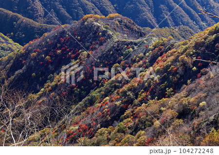 奥日光・社山稜線から見る紅葉の山並み 104272248