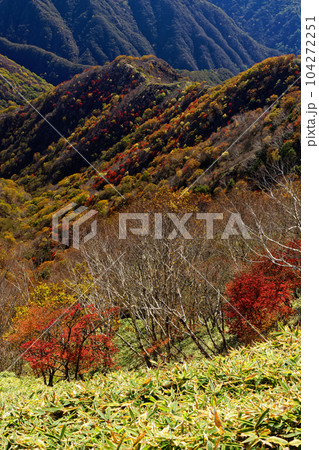 奥日光・社山稜線から見る紅葉の山並み 104272251