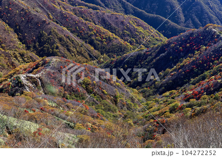 奥日光・社山稜線から見る紅葉の山並み 104272252