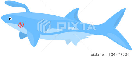 ファルカトゥス 104272286