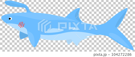 ファルカトゥス 104272286