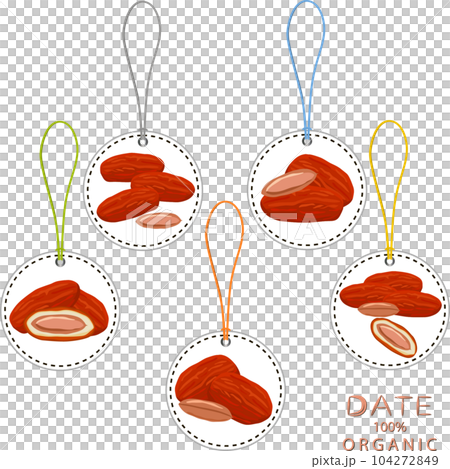 Sweet juicy tasty natural eco product date fruit Sweet juicy tasty natural eco product date fruit 104272849