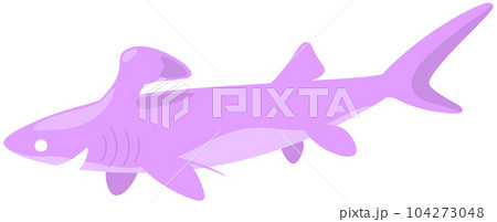 ステタカントゥス ステタカントゥス 104273048