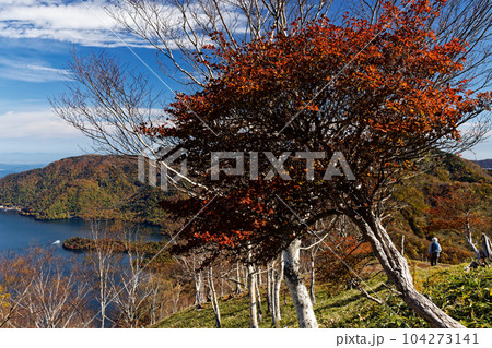 紅葉の奥日光・社山稜線から中禅寺湖を望む 104273141