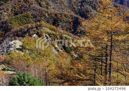 奥日光・社山稜線から見る紅葉の山並み 奥日光・社山稜線から見る紅葉の山並み 104273496
