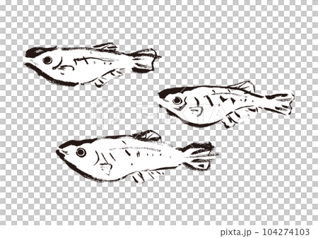 Medaka hand drawn Japanese style illustration Japanese style material 104274103