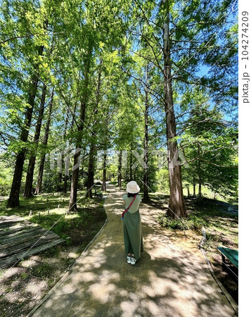 【高知県】北川村「モネの庭」マルモッタンの新緑と女性 104274209