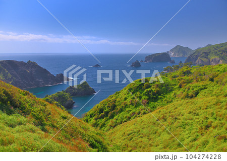 伊豆半島・南伊豆・ユウスゲ公園から眺める奥石廊の豊かな自然と美しい海・静岡県南伊豆町(1) 104274228