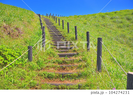 伊豆半島・南伊豆・奥石廊、池の原と呼ばれる丘の上にあるユウスゲ公園への遊歩道・静岡県南伊豆町(2) 伊豆半島・南伊豆・奥石廊、池の原と呼ばれる丘の上にあるユウスゲ公園への遊歩道・静岡県南伊豆町(2) 104274231