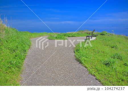 伊豆半島・南伊豆・奥石廊の丘の上を散歩、ユウスゲ公園の空に続く遊歩道・静岡県南伊豆町(2) 伊豆半島・南伊豆・奥石廊の丘の上を散歩、ユウスゲ公園の空に続く遊歩道・静岡県南伊豆町(2) 104274237