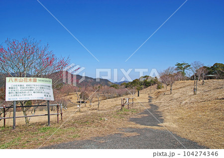四季折々の花木が楽しめる福岡県飯塚市の八木山花木園 四季折々の花木が楽しめる福岡県飯塚市の八木山花木園 104274346