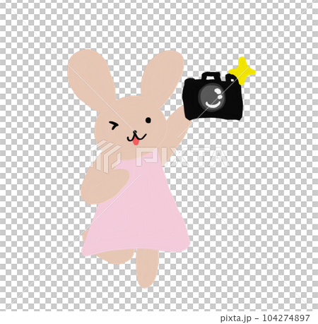 Rabbit taking a picture 104274897