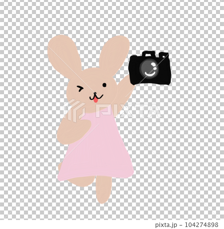 Rabbit holding up a camera 104274898