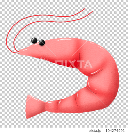 Shrimp watercolor character Shrimp watercolor character 104274991