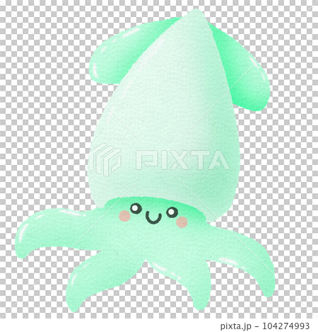 squid, octopus, calamary 104274993