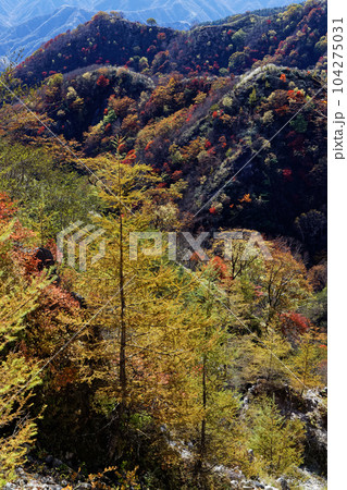 奥日光・社山稜線から見る紅葉の山並み 104275031
