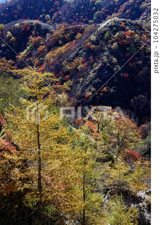 奥日光・社山稜線から見る紅葉の山並み 104275032