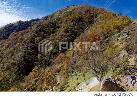 奥日光・阿世潟峠付近から見る紅葉の社山稜線 奥日光・阿世潟峠付近から見る紅葉の社山稜線 104275070
