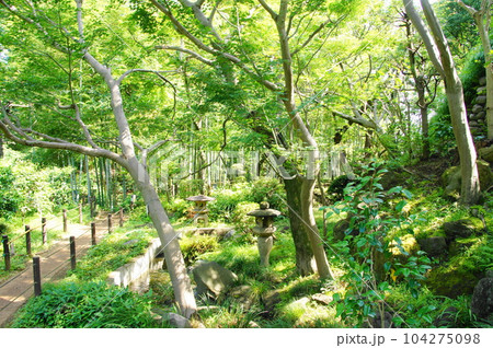 等々力渓谷の日本庭園 104275098