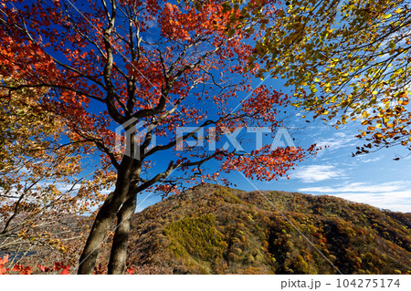 紅葉の奥日光・社山稜線から望む中禅寺山 104275174