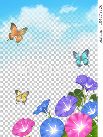 牽牛花、蝴蝶和藍天 104275226