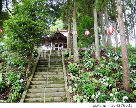 平山阿蘇神社と紫陽花　（熊本県山鹿市） 104276033