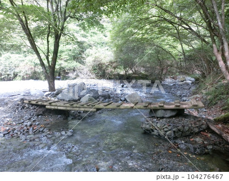 丹沢・西山林道沿い二俣地点・二俣に架かる木橋（神奈川県） 104276467