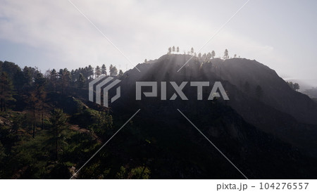 Majestic green mountain forest on fog background Majestic green mountain forest on fog background 104276557