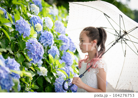 紫陽花の花を見る女の子 紫陽花の花を見る女の子 104276753