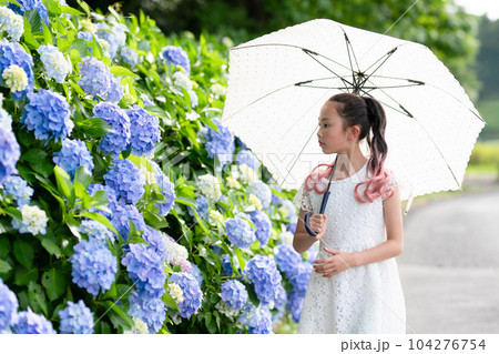 紫陽花の花を見る女の子 紫陽花の花を見る女の子 104276754