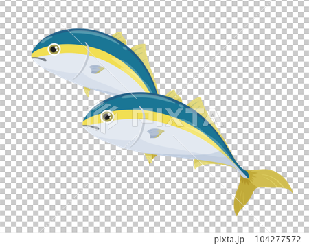 かわいいブリのイラスト 104277572