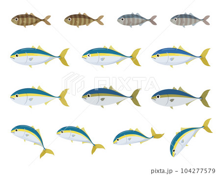 かわいいブリのイラスト素材セット 104277579